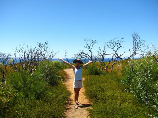 Welcome im Arid Nationalpark