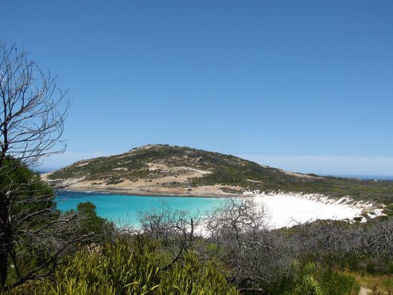 Was fuer ein Blick...