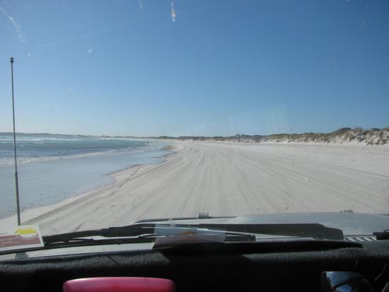 Und zurueck ging es ca. 30 km am Strand entlang