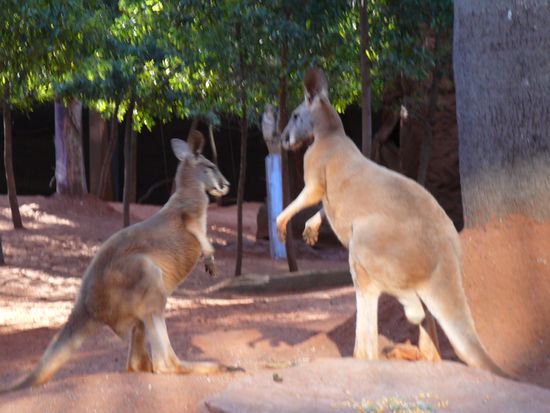 An euer Huepfen muss ich mich noch gewoehnen sonst gibts viele Traenen...
