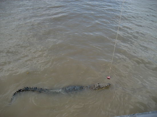 erst mal schnuppern...