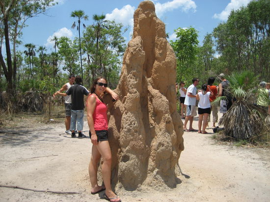 Touristenattraktion Termitenhuegel