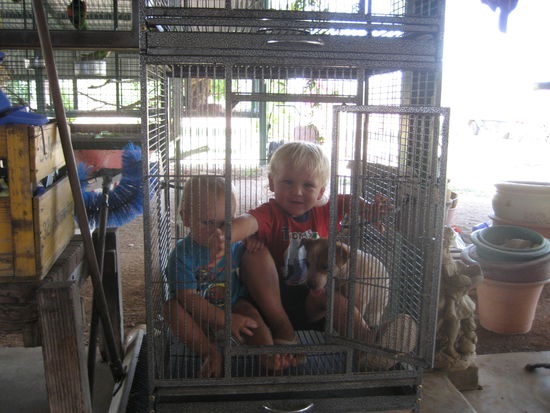 So haben wir sie am liebsten... 