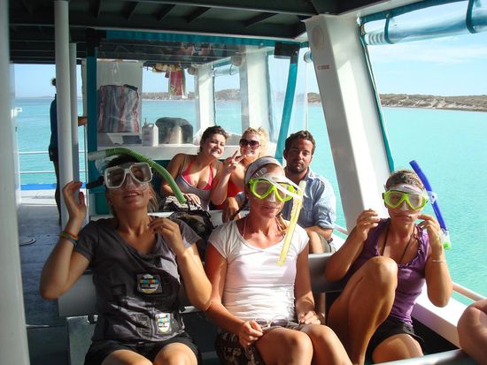 alle mal bloed schauen.. Danke reicht schon!