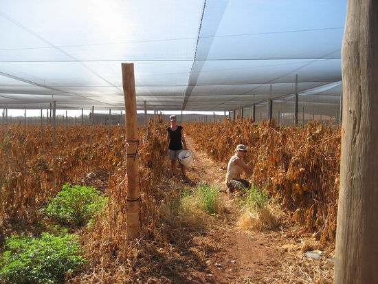 Carmen und Jana fleissig bei der arbeit...