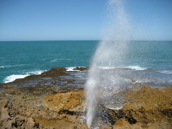 Blowholes ein Naturschauspiel