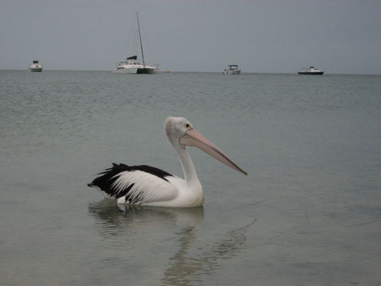 leider hatten auch wir mal Pech mit dem Wetter...