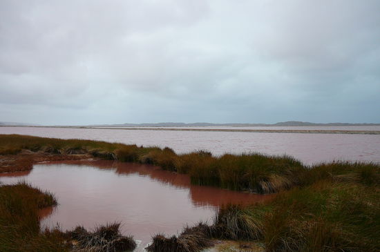 Pink Lake.. Wenn es nicht so bewoelkt gewesen waere wuerde man es besser sehen