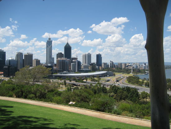 Perth King's Park