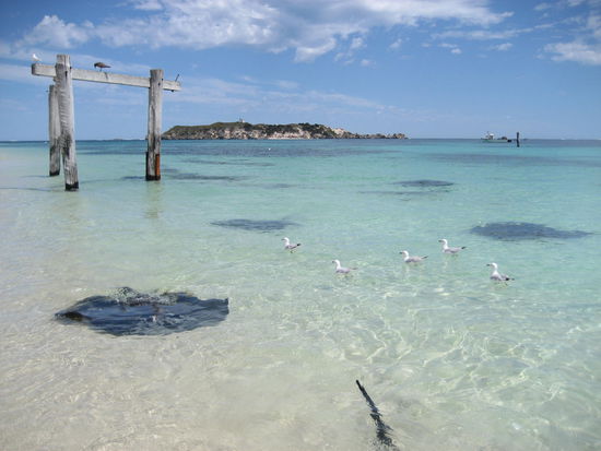 Hamelin Bay... noch fragen?!