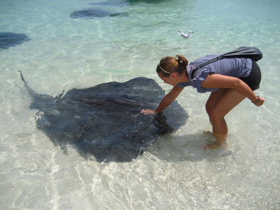 Ja ich habe tatsaechlich einen Stachelrochen angefasst...
