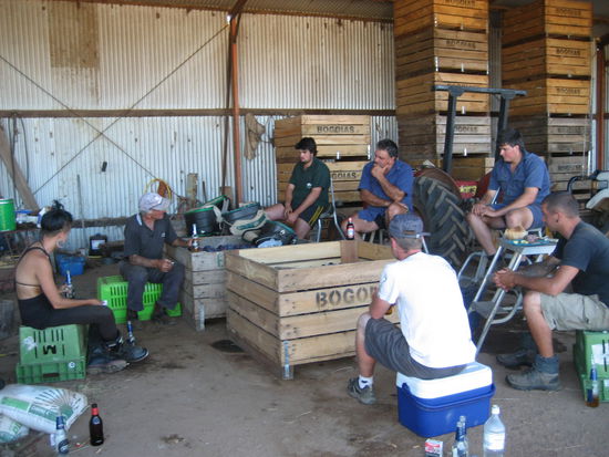 ein letztes Bier mit unseren Kollegen und Chef