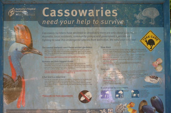 aufgepasst denn die koennen (wenn man ueberhaupt welche sieht) gefaehrlich werden...