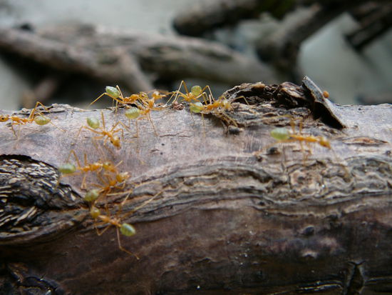 einfach nur weil ich dieses Bild soooo geil finde.. Danke an die Fotografin Tschana S.