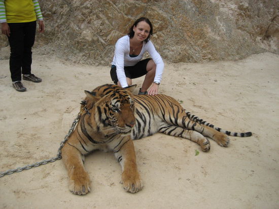 Habt jemand von euch schon mal nen Tiger gestreichelt?