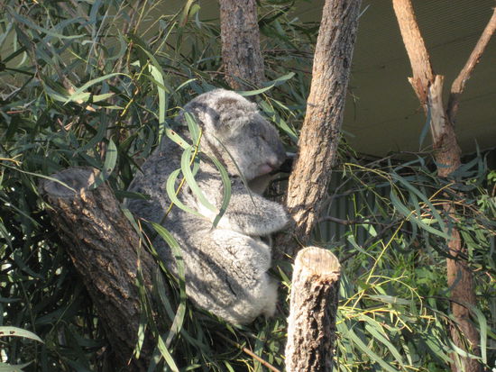 Ist er nicht suess?!