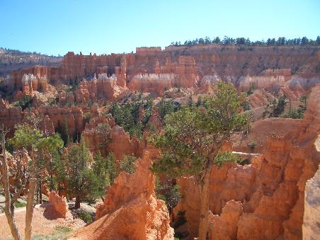 Bryce