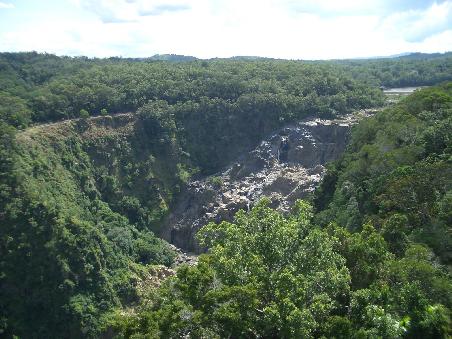 Der Ausblick aus der Skyrail