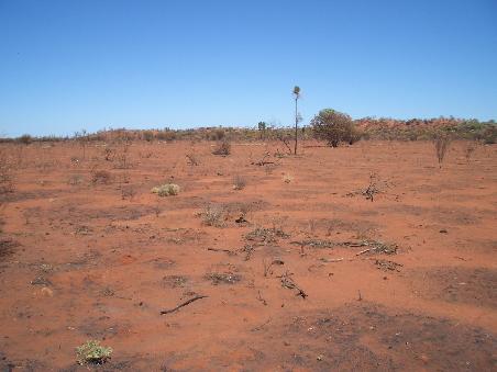 Viel Nichts im Outback