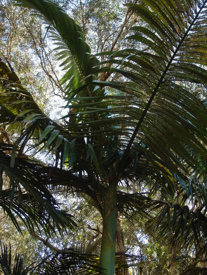 Currumbin Wildlife Sanctuary