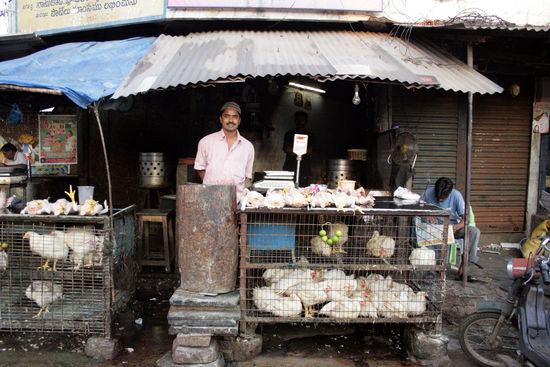 Chicken Biryani in ungekochtem Zustand!
