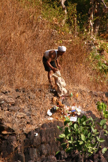 Muellentsorgung auf die indische Art und Weise