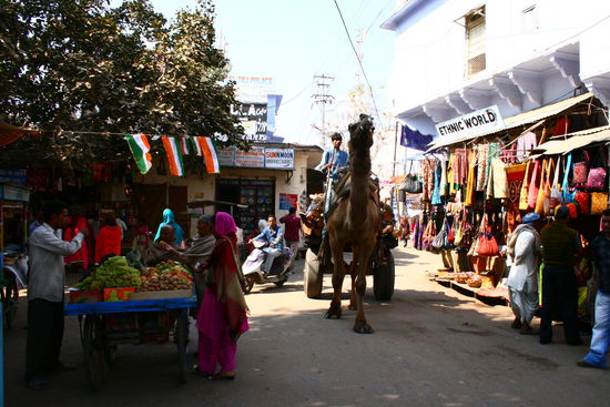 Die groessten Kamele, die ich je gesehen habe schlaengeln sich durch die kleinen Marktgassen...