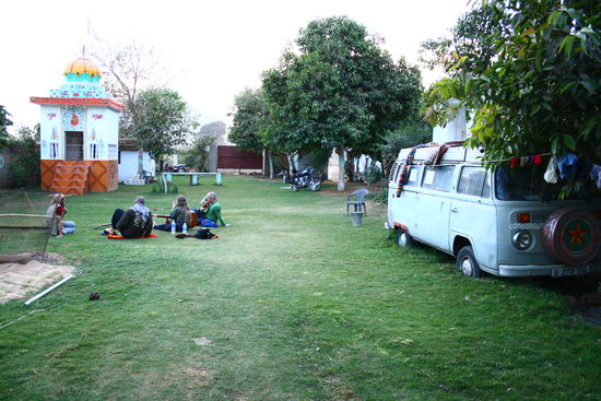 Die kleine Oase und ihre Bewohner...