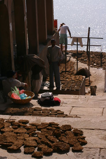 Trocknende Kuhfladen als Brennmaterial