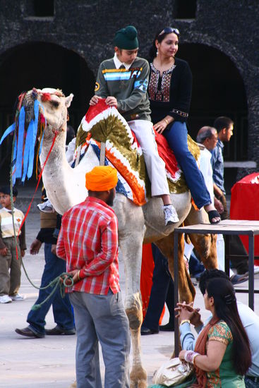 Kamelreiten darf natuerlich auch nicht fehlen....