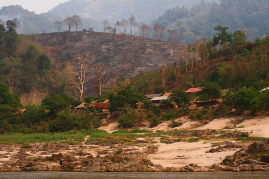 Im Hintergrund sieht man eines der zahlreichen abgebrannten Flaechen, allerdings sieht es hier auf dem Bild noch recht harmlos aus