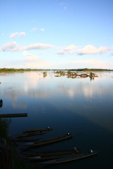 Wo sind denn die Fluss-Delfine?