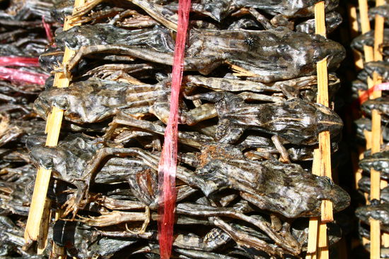 Ein Augenschmaus! Wer kann sich da noch zurueck halten!?