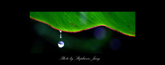 Regnen tut es hier staendig. Schlimm ist das gar nicht, denn nach dem Regen ist das Klima halbwegs ertraeglich. Ausserdem entstehen dabei solche Bilder, denn wenn man mit dem Motorrad unterwegs ist, muss man warten bis der Regen aufhoert und man vertreibt sich die Zeit mit fotografieren.