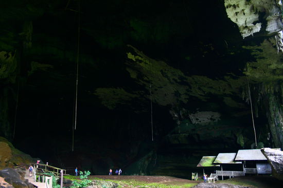 An den Stangen, die hier runter haengen, sind die die Leute bis vor gar nicht allzu langer Zeit noch, hoch geklettert, um an die Nester der Voegel, die dort Brueten, heran zu kommen. Sieht gefaehrlich aus, ist es auch.