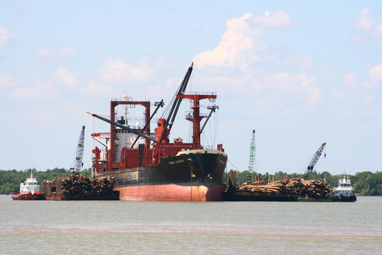 Holzfrachter und Handel