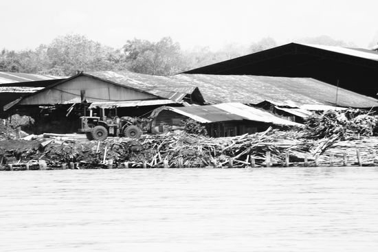 An den Ufern ist eine Holzverarbeitungsfirma nach der anderen. Es waren soviele, dass es fast schon Angst macht. Kein Wunder, dass die Regenwaldabholzung so unglaublich schnell voranschreitet, bei der Masse an Holzfirmen, auf einer so kurzen Strecke.