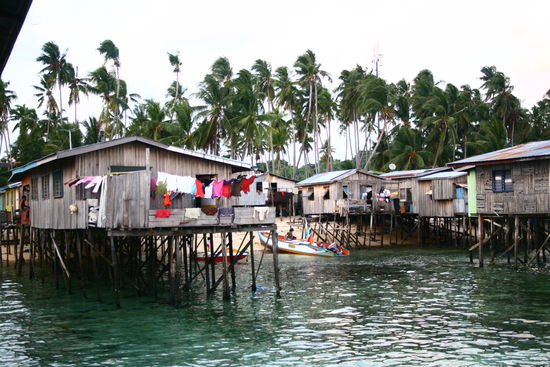 die Nachbarn links....