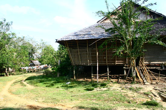 Das Longhouse von der schmalen Seite: Wo sind nur all die Schweine???