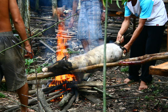 ...wilde Schlachtzeremonien vor sich gehen...