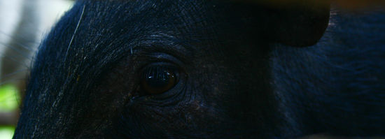 ...nur schade, dass gerade...