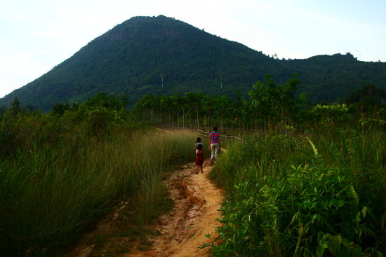 Die Suche beginnt...