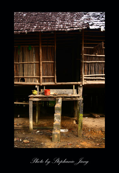 Einer der Eingaenge des Longhouses. Dieses Longhouse ist sehr niedrig, aber es gibt welche, die 5m ueber der Erde sein koennen und dann ist eine Treppe wie diese doch etwas furchteinfloessend.