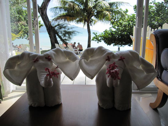 Der Blick auf unsere Handtuecher (jeden Tag andere Tiere aus Handtuechern gefaltet!) -aehhhm ich meine von unserem Zimmer aus auf das Meer