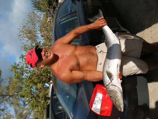 Der Mann war so glücklich, dass er mit seinem Riesenfisch durch de Gegend rannte, und ihn jedem zeigte. Vermutlich hat er sein Leben lang geangelt, und ebenso vermutlich hat er sein Leben lang auf diesen Riesenfisch gewartet...