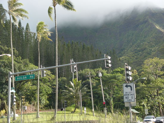 Auf dem Weg nnach Kailua Bay...die Wolken hängen so tief, man glaubt fast, man könne sie berühren...