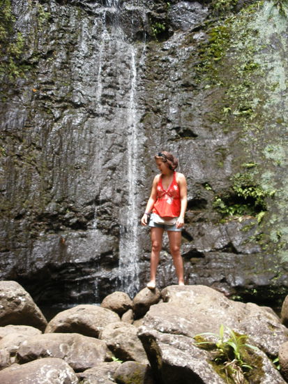 Manoa Falls...der Wasserfall war klein, weil kein Regen fiel. Beeindruckend war's trotzdem, alles so groß und grün...