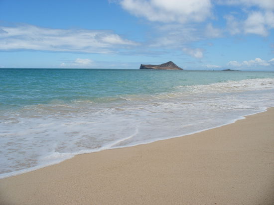 Kailua Beach... so weit das Auge reicht, nur Ozean, und Strand, und Palmen.