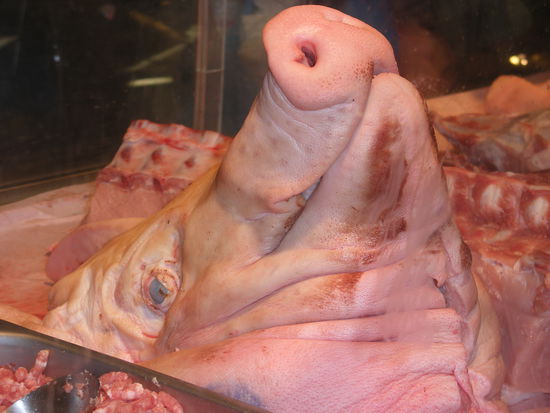 Ein armes Schwein in China Town.