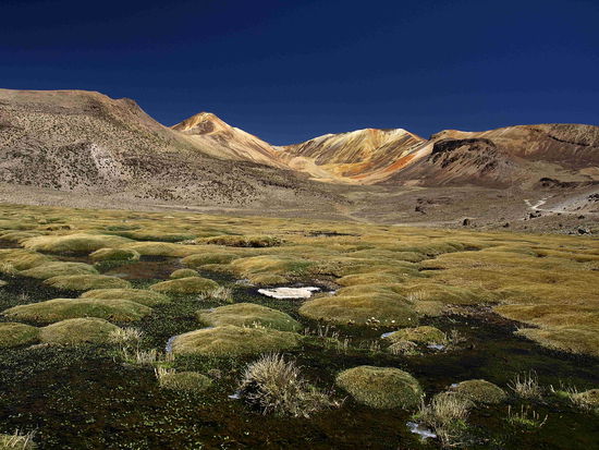 Spektakulaere Farbspiele rund um die Montañas coloradas.